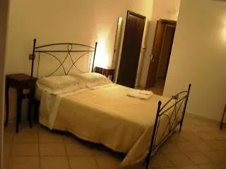 فندق Museo 3*